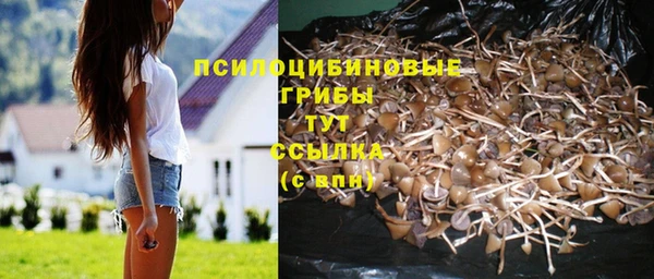 spice Абинск