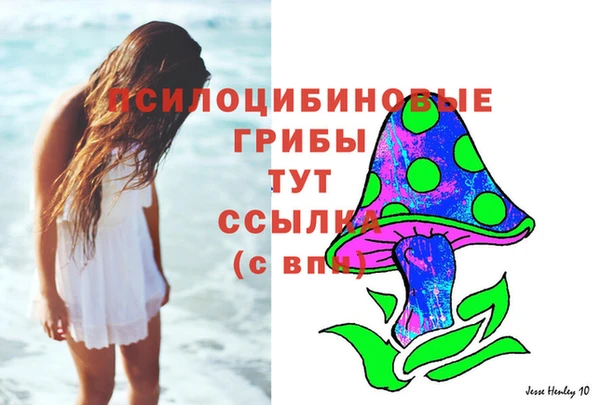 меф Приозерск