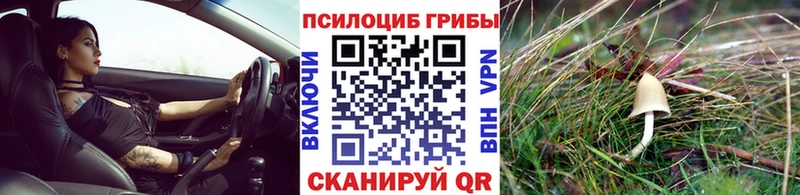Псилоцибиновые грибы GOLDEN TEACHER  OMG сайт  Отрадный  дарнет шоп 