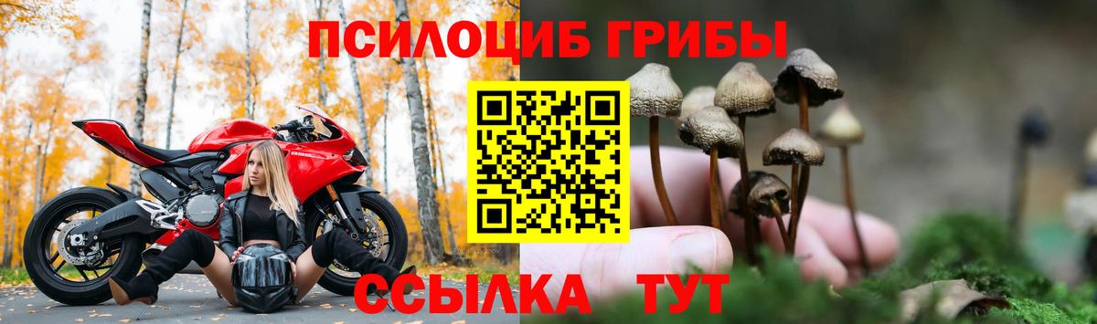 Галлюциногенные грибы мухоморы Отрадный